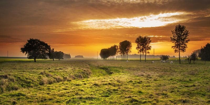 成发部2024年秋季工作总结